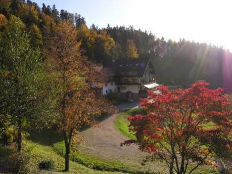 Md Waldhotel Palmspring 바트 페테르스탈-그리스바흐 외부 사진